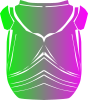 Torso